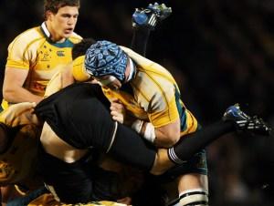 Una grandissima Australia stronca gli All Blacks (25-20) e vince il Tri-Nations