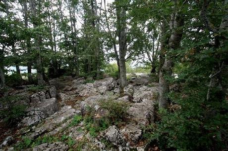 Trekking in Lessinia...ovvero fotografie (27/8)