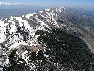 Ecoturismo in Libano: la foresta di cedri millenari