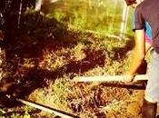 bello della natura bambini.