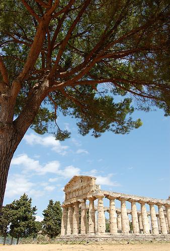 santuari urbani in Magna Grecia- il casi di Metaponto e Poseidonia./2