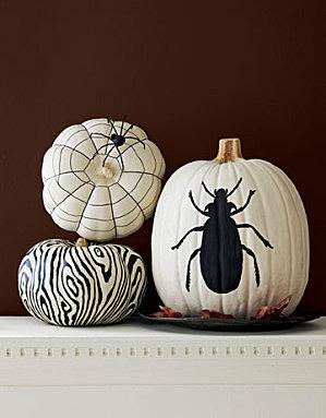 Zucca Design: no Halloween, si Zucca!