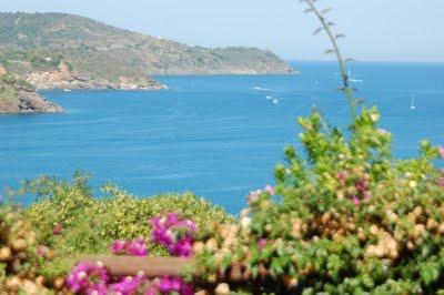 Isola d'Elba!  Ma che bella !!!