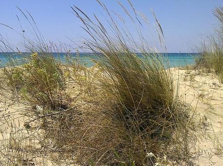 Perdersi a guardare: le ultime cartoline dal Salento