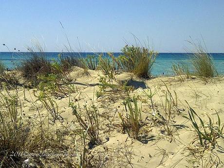 Perdersi a guardare: le ultime cartoline dal Salento