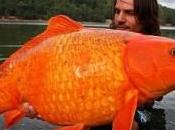 Foto reali sembrano ritoccate photoshop