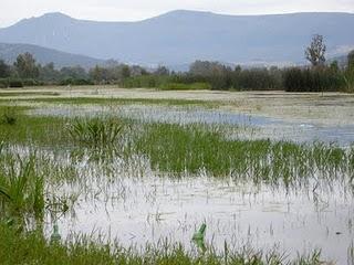 Parco nazionale di El Kala