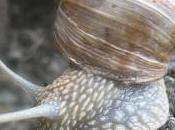 piano… ritrova Montefortino (Fermo)