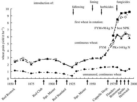 Sfamare il mondo con l'agricoltura biologica, si può? Questione di merda...