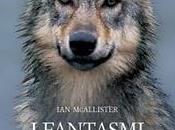 letture della Fenice: RECENSIONE fantasmi foresta McAllister