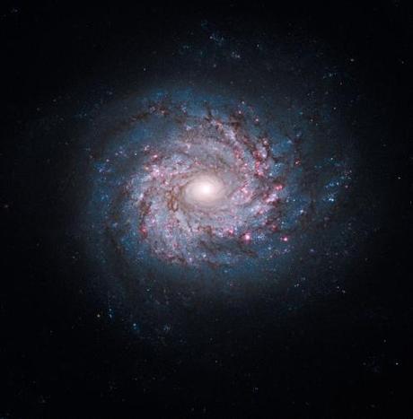 NGC 3982 e le sue stelle nascenti