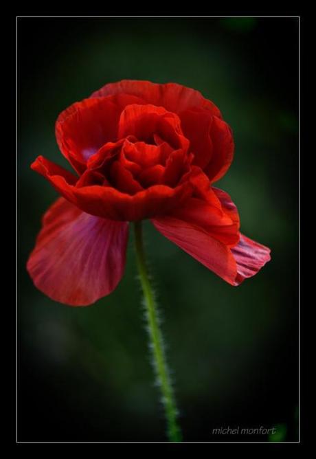 Tristezza di non poter piangere...