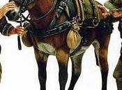 rubano anno della nostra vita