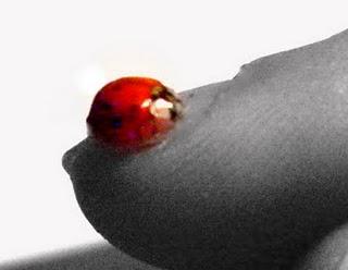 Guardate chi mi è venuta a trovare...