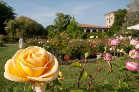 castello-Quistini-giardino-rose