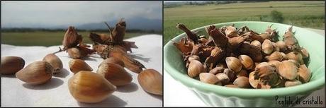 Madeleines al miele e nocciole...con Viola