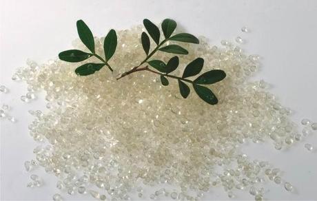 masticha chiou e carlo cracco