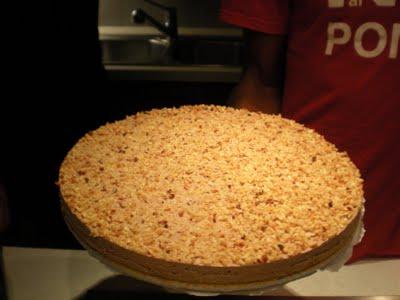 Torta fredda yogurt e cioccolato