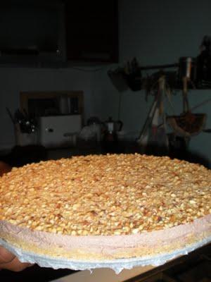 Torta fredda yogurt e cioccolato