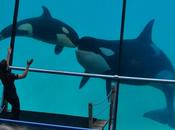 MarineLand