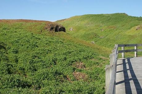 Phillip Island