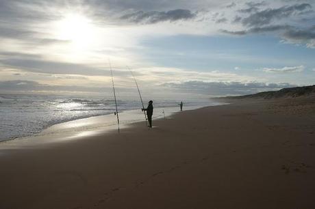 Phillip Island