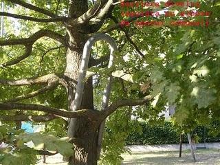 ... ma guarda un po' qui che roba!