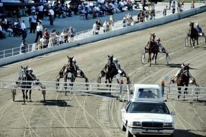 4-11-18 settembre: Grandi appuntamenti all’Ippodromo