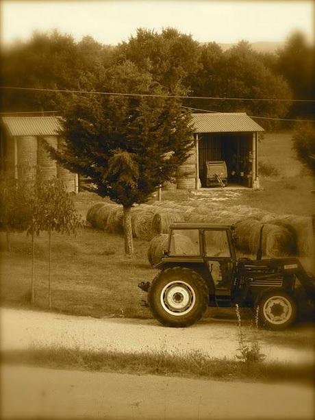 Agosto all'italiana (peaceful countryside:-)