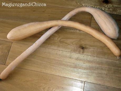 Crema trombetta con tempeh