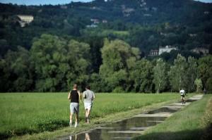 Parchi di Torino e giornate fra gli alberi