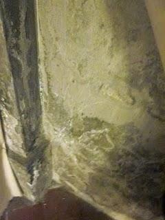 L'interno del Duomo di Fidenza a rischio di degrado