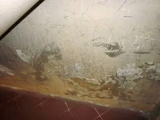 L'interno del Duomo di Fidenza a rischio di degrado