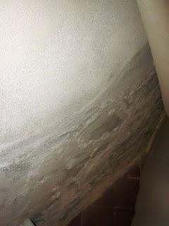 L'interno del Duomo di Fidenza a rischio di degrado