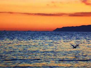 CALA MOSCA - CAGLIARI (video)