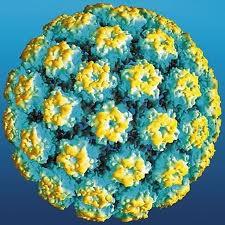 Vaccino antipapilloma HPV: stupro sanitario