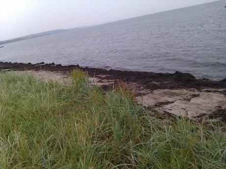 Cercare la spiaggia e trovare un prato