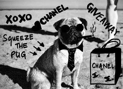 Chanel gift away by SQUEEZE THE PUG