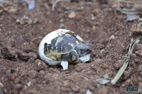 Settembre tra vecchio e nuovo