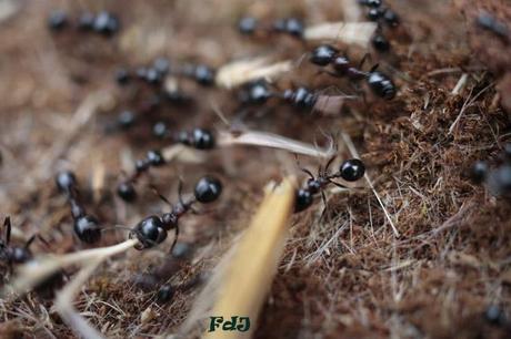 Settembre tra vecchio e nuovo