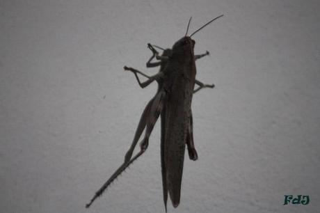 Settembre tra vecchio e nuovo