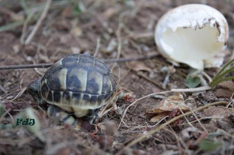Settembre tra vecchio e nuovo