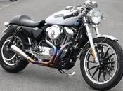 Harley 1200 Special