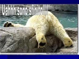 Italia la data fondamentale per il suo futuro..