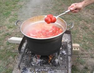 Batterio killer nei pomodori. Maxisequestro a Latina