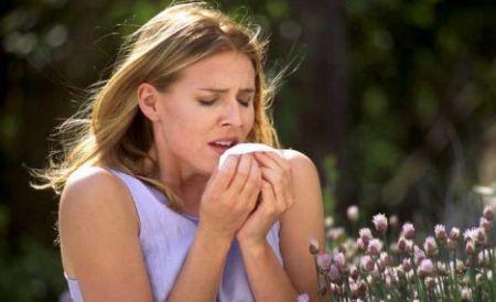 Perchè l’allergia peggiora in città?