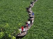 L’egualitarismo dell’amore