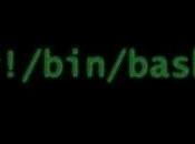 Script bash l'individuazione eventuali rootkit mediante rkhunter