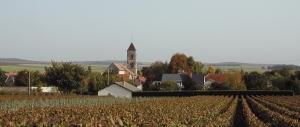 Le Grands Crus dello Champagne: Ambonnay