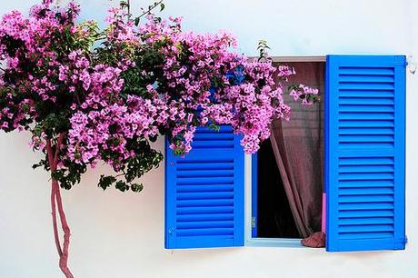 Colors of Formentera.